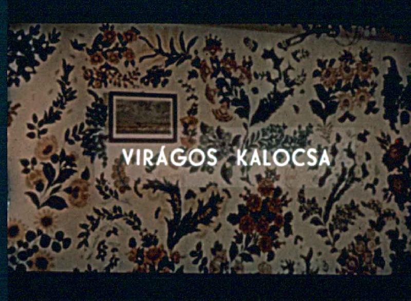 Virágos Kalocsa 