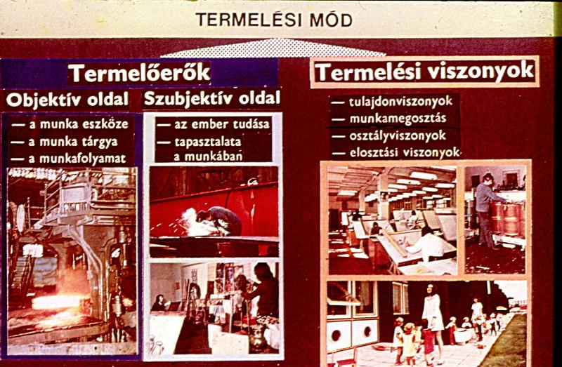 Gazdaságpolitikai kérdések : Mezőgazdasági tagozat