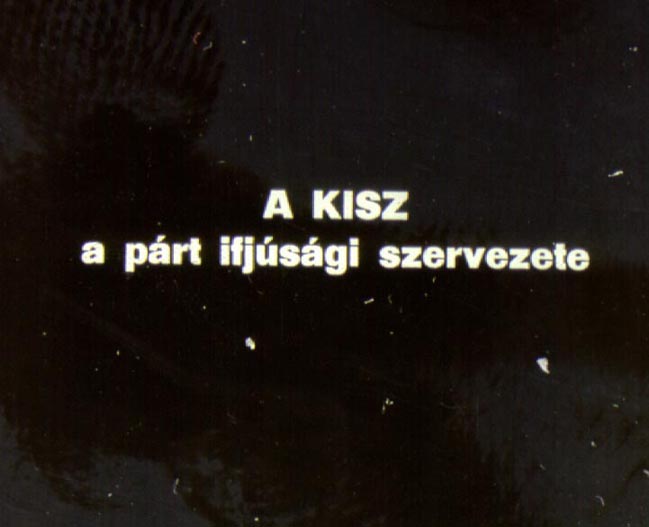 A KISZ a párt ifjúsági szervezete 