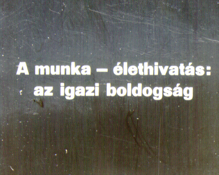 A munka-élethivatás: az igazi boldogság 