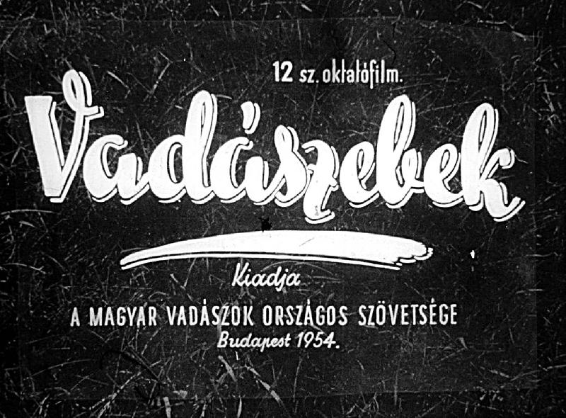 Vadászebek 