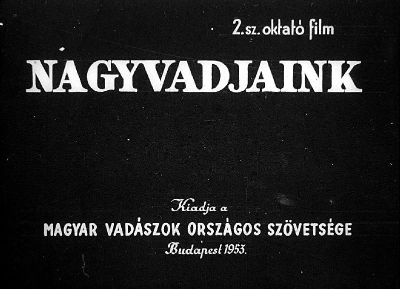 Nagyvadjaink 