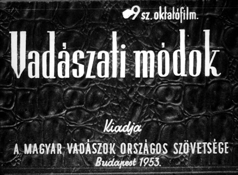 Vadászati módok 