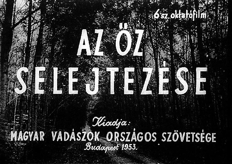 Az őz selejtezése 