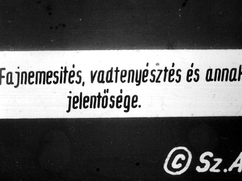Fajnemesítés, vadtenyésztés és annak jelentősége 