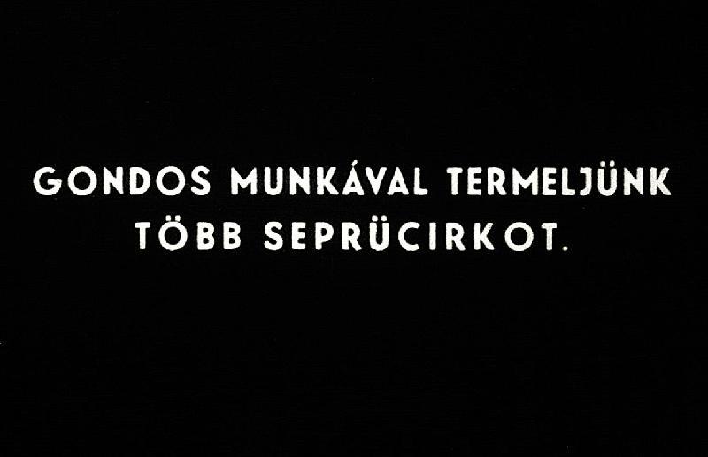 Gondos munkával termeljünk több seprűcirkot 