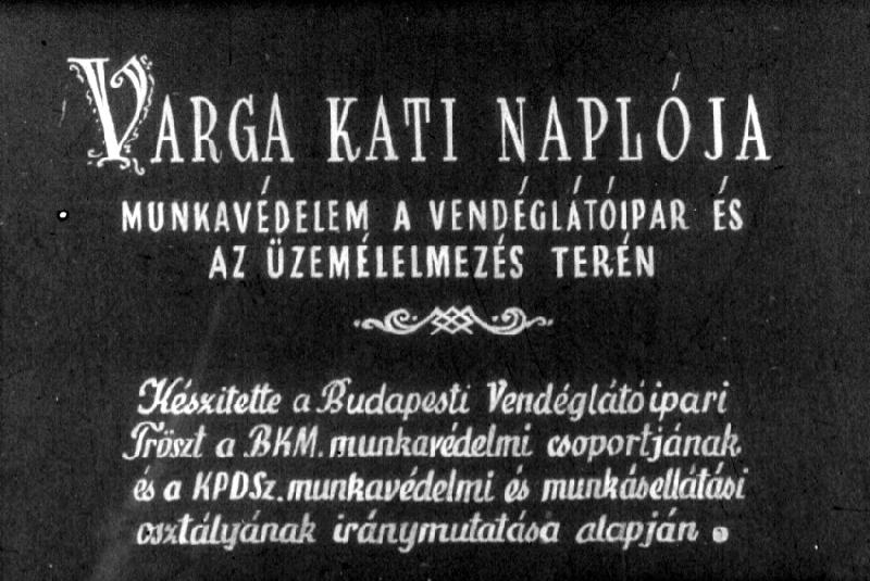 Varga Kati naplója. Munkavédelem a vendéglátóipar és az üzemélelmezés terén 