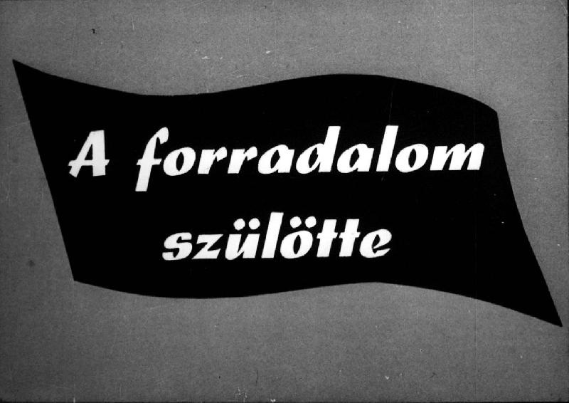 A forradalom szülötte 