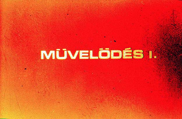 Művelődés I-II. : Munkánk, eredményeink 11-12. 1945-1975