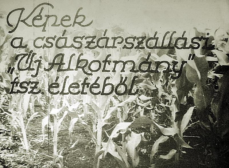 Képek a császárszállási Új Alkotmány tsz. életéből 