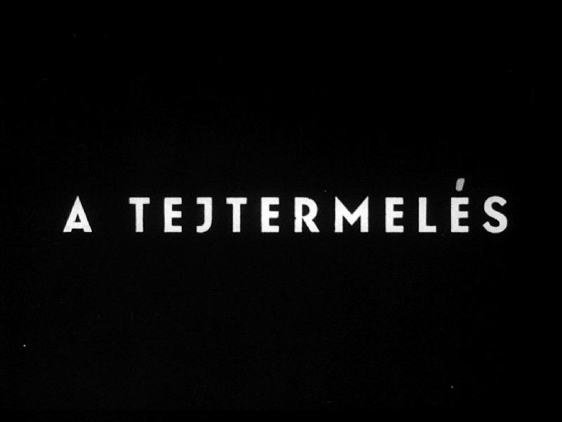 A tejtermelés 