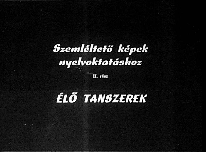 Szemléltető képek nyelvoktatáshoz II. rész : Élő tanszerek 