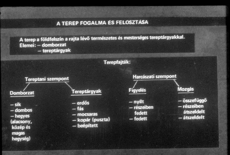 Tereptan 