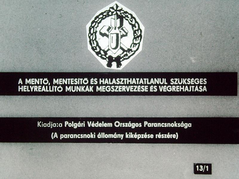 A mentő, mentesitő és halaszthatatlanul szükséges helyreállító munkák megszervezése és végrehajtása 