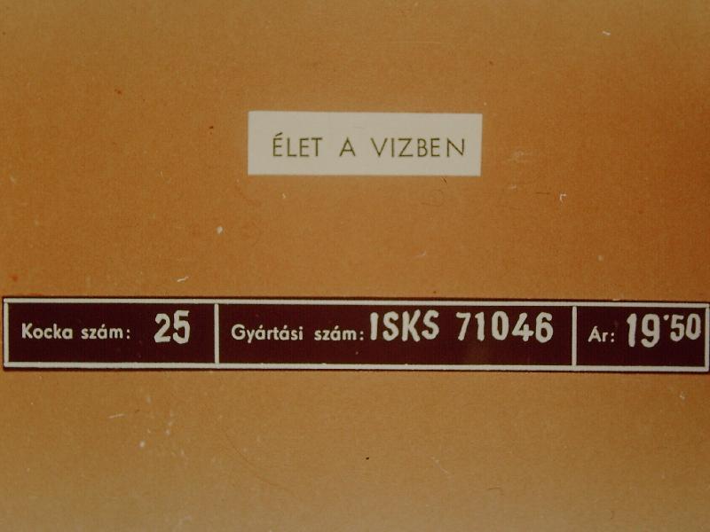 Élet a vízben 
