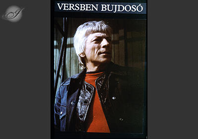 Versben bujdosó 