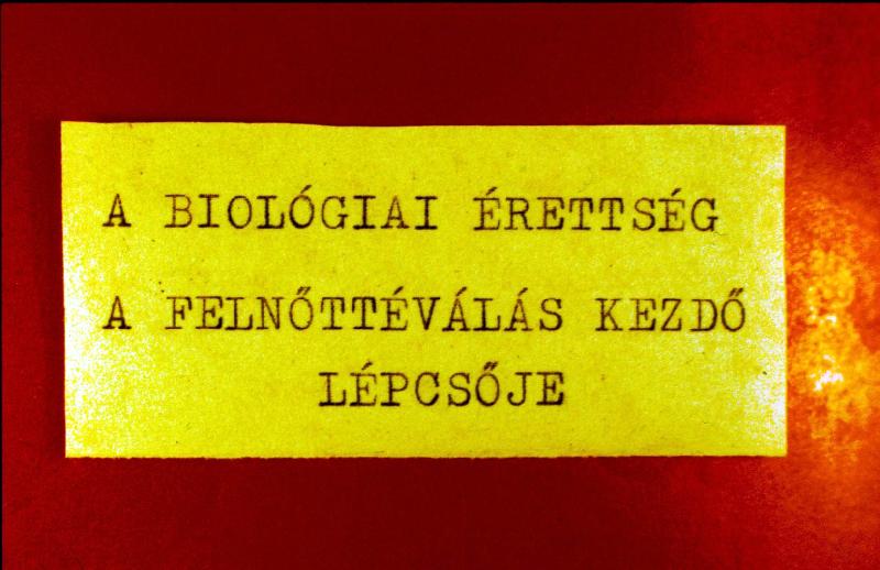A biológiai érettség, a felnőtté válás kezdő lépcsője 