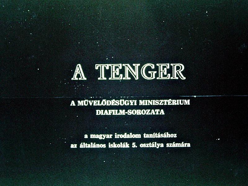 A tenger 