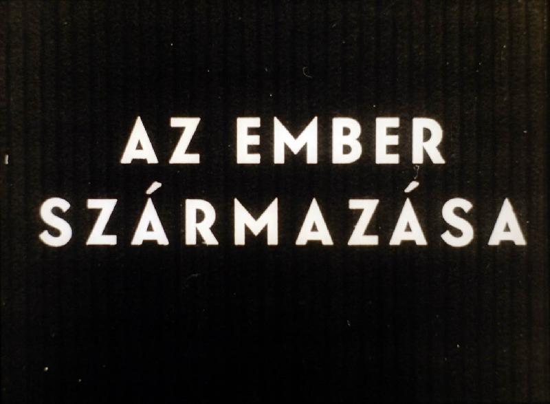 Az ember származása 