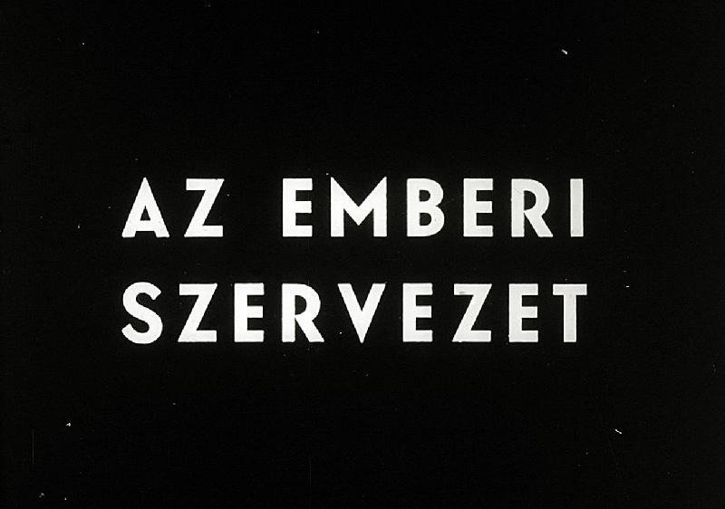 Az emberi szervezet 