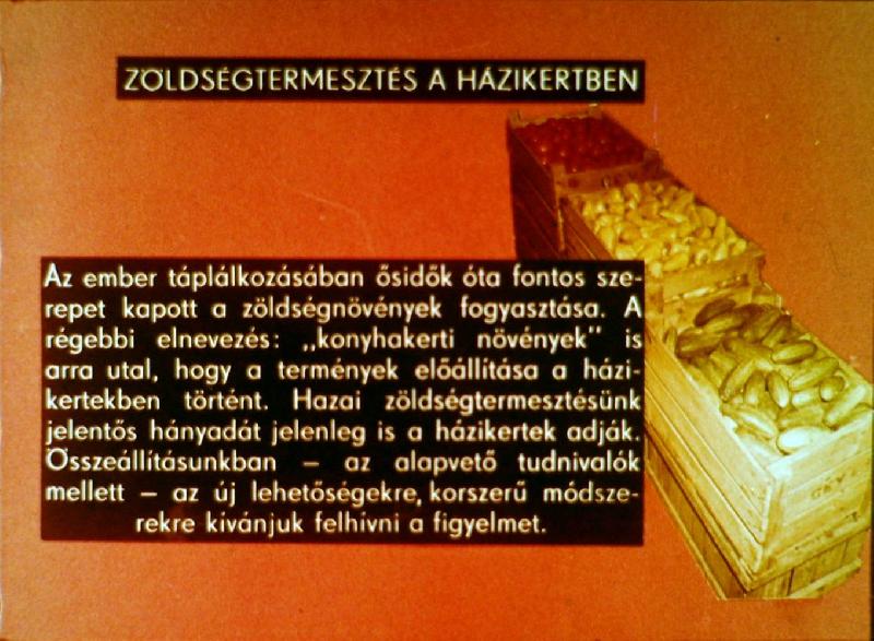 Zöldségtermesztés a házikertben 