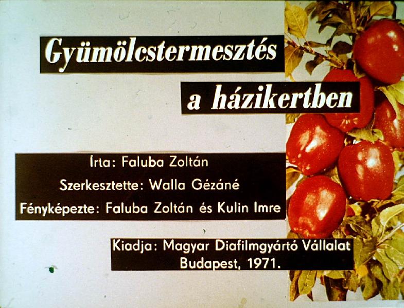 Gyümölcstermesztés a házikertben 