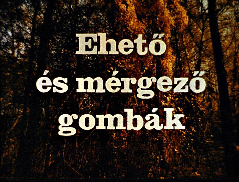 Ehető és mérgező gombák 