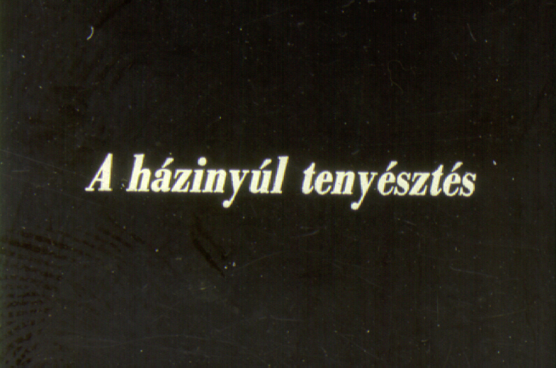 A házinyúl tenyésztés