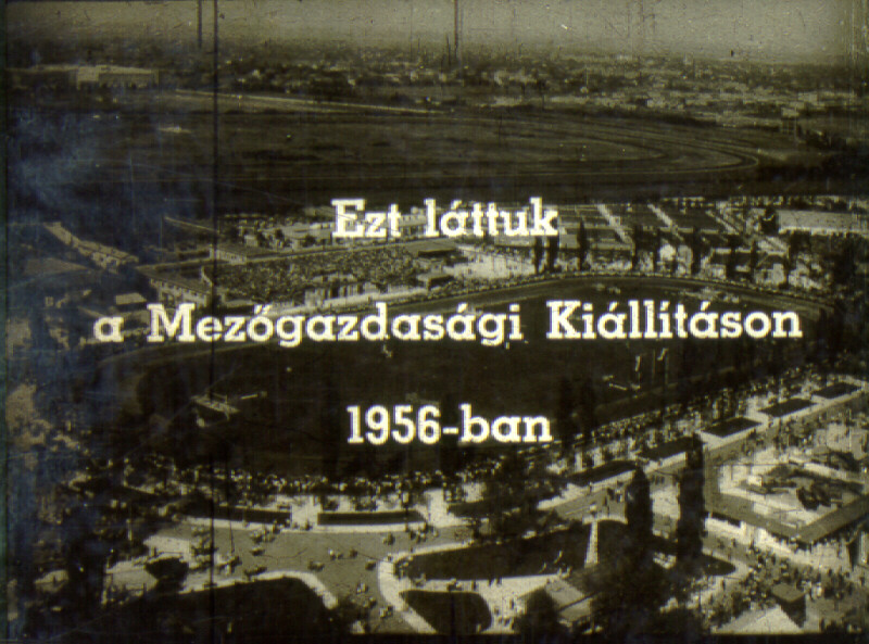 Ezt láttuk a Mezőgazdasági Kiállításon 1956-ban