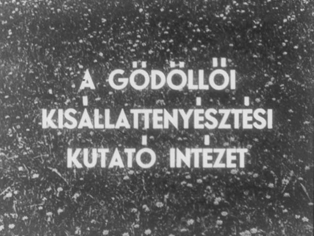 A gödöllői Kisállattenyésztési Kutató Intézet