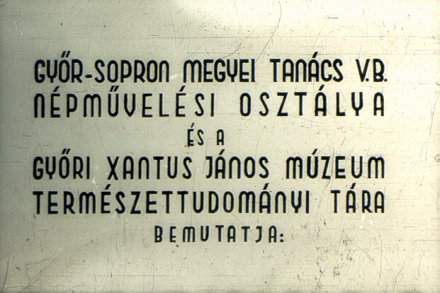 A Hanság - terv nyomában I.
