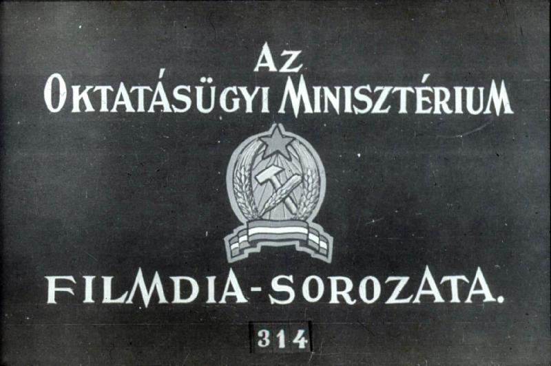 Az írás története