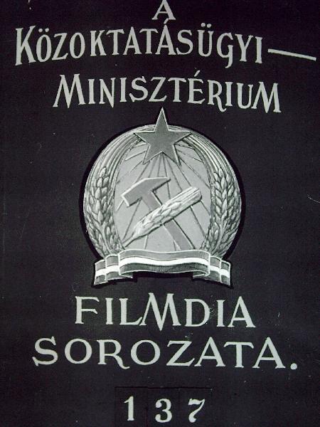 Istoria ilustrata literaturii románe (Képes román irodalomtörténet II.)