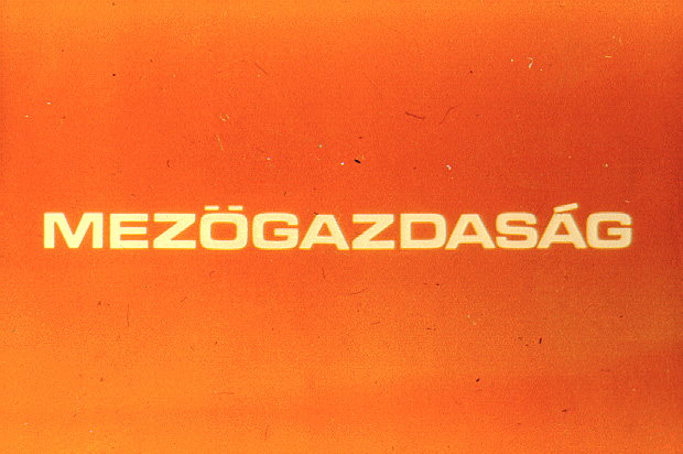 Mezőgazdaság : Munkánk, eredményeink 5. 1945-1975