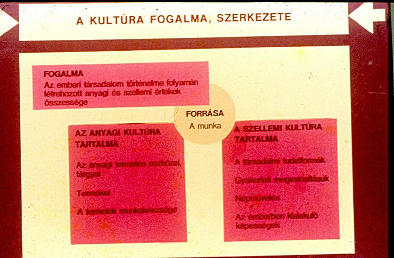 Kulturális kérdések