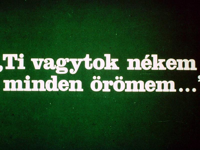 Ti vagytok nékem minden örömem : Petőfi Sándor