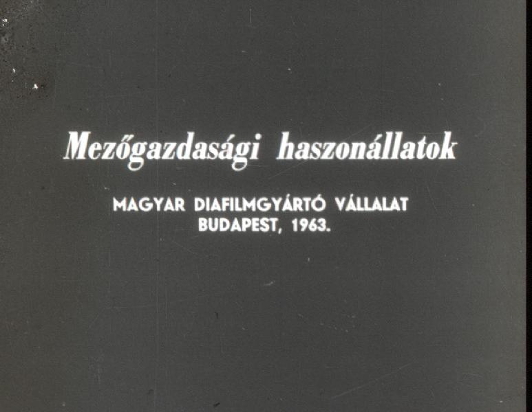 Mezőgazdasági haszonállatok