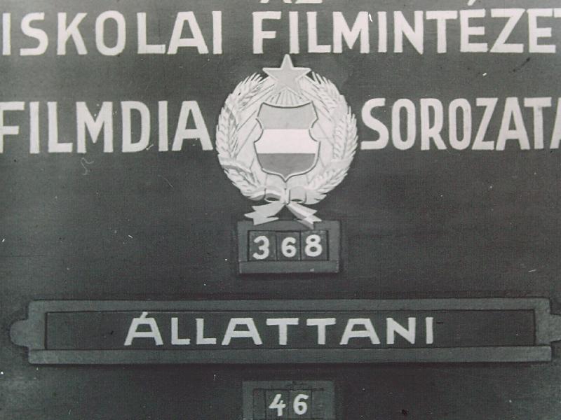 Háziméh I.