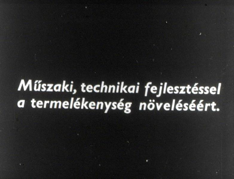 Műszaki, technikai fejlesztéssel a termelékenység növeléséért