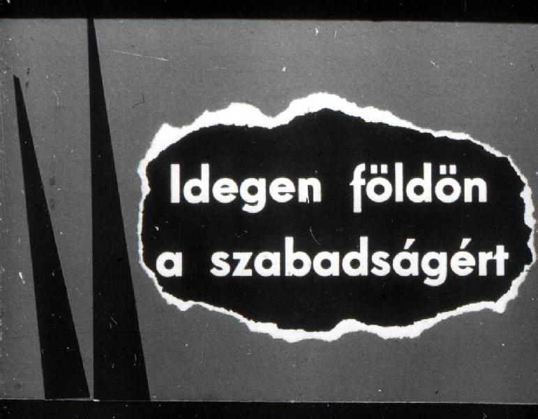 Idegen földön a szabadságért