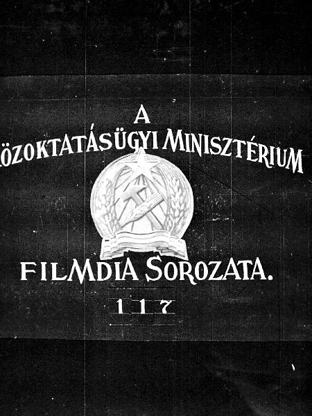 Különleges táplálkozású növények