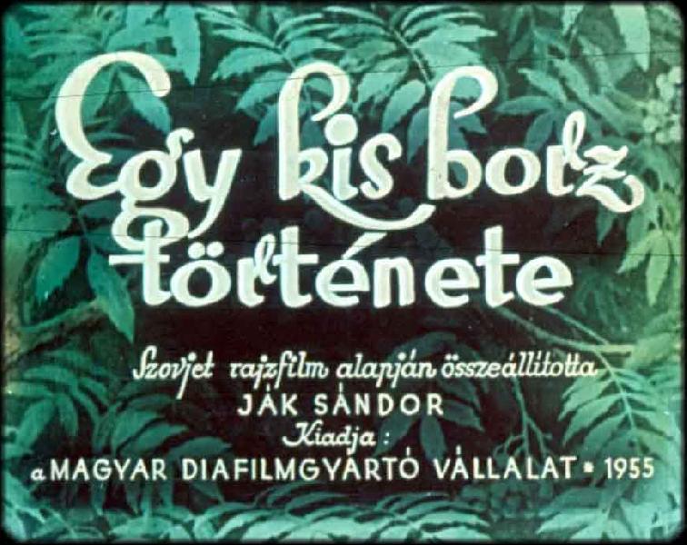 Egy kis borz története