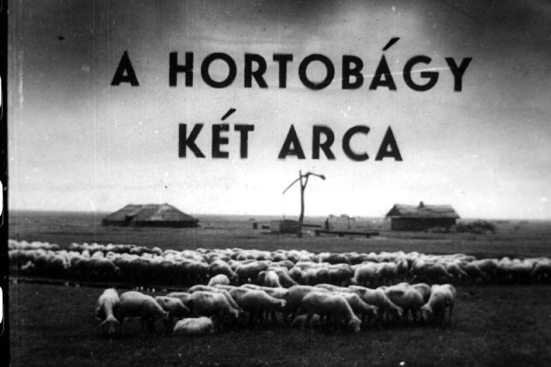 A Hortobágy két arca