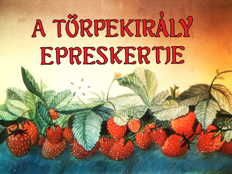 A törpekirály epreskertje