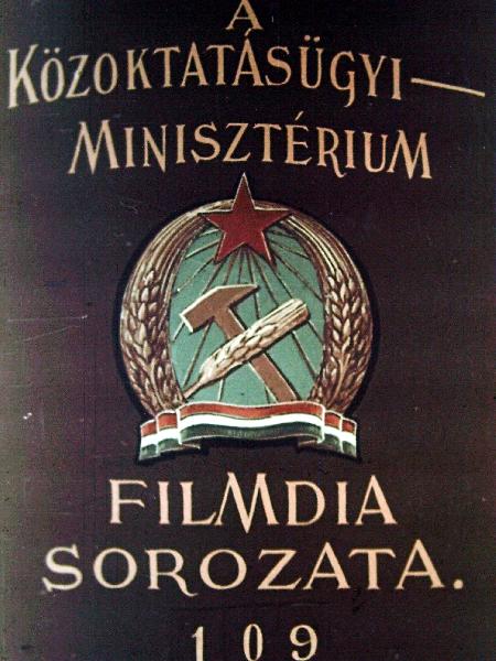 Pipacsvirágúak rendje