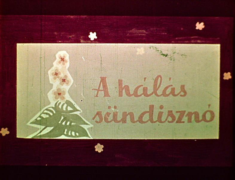 A hálás sündisznó