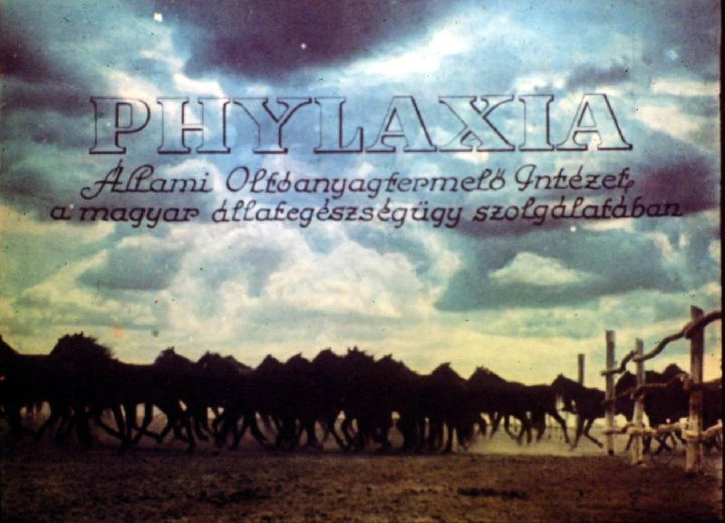 Phylaxia