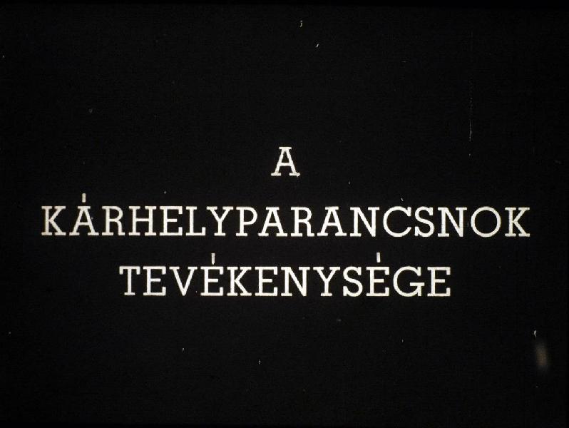 A kárhelyparancsnok tevékenysége