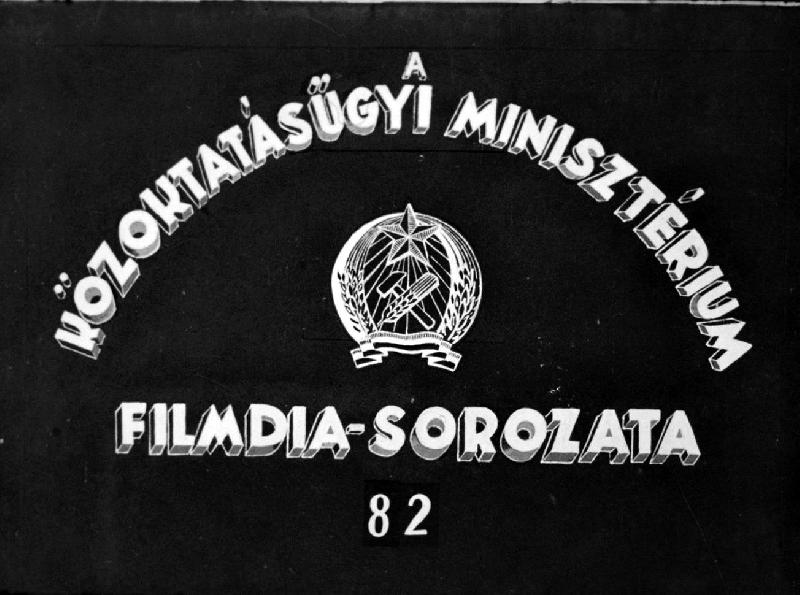 Az északafrikai sivatagok