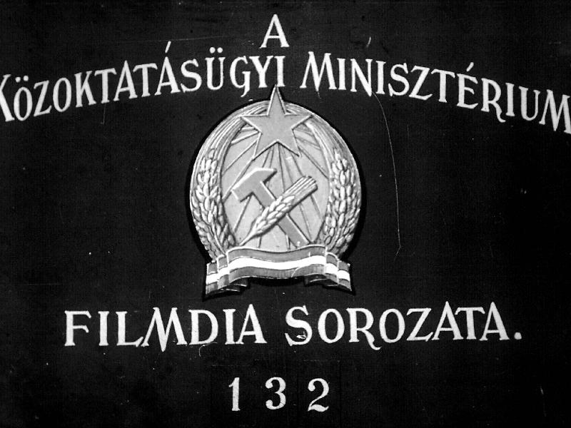 Érzékszervek II.